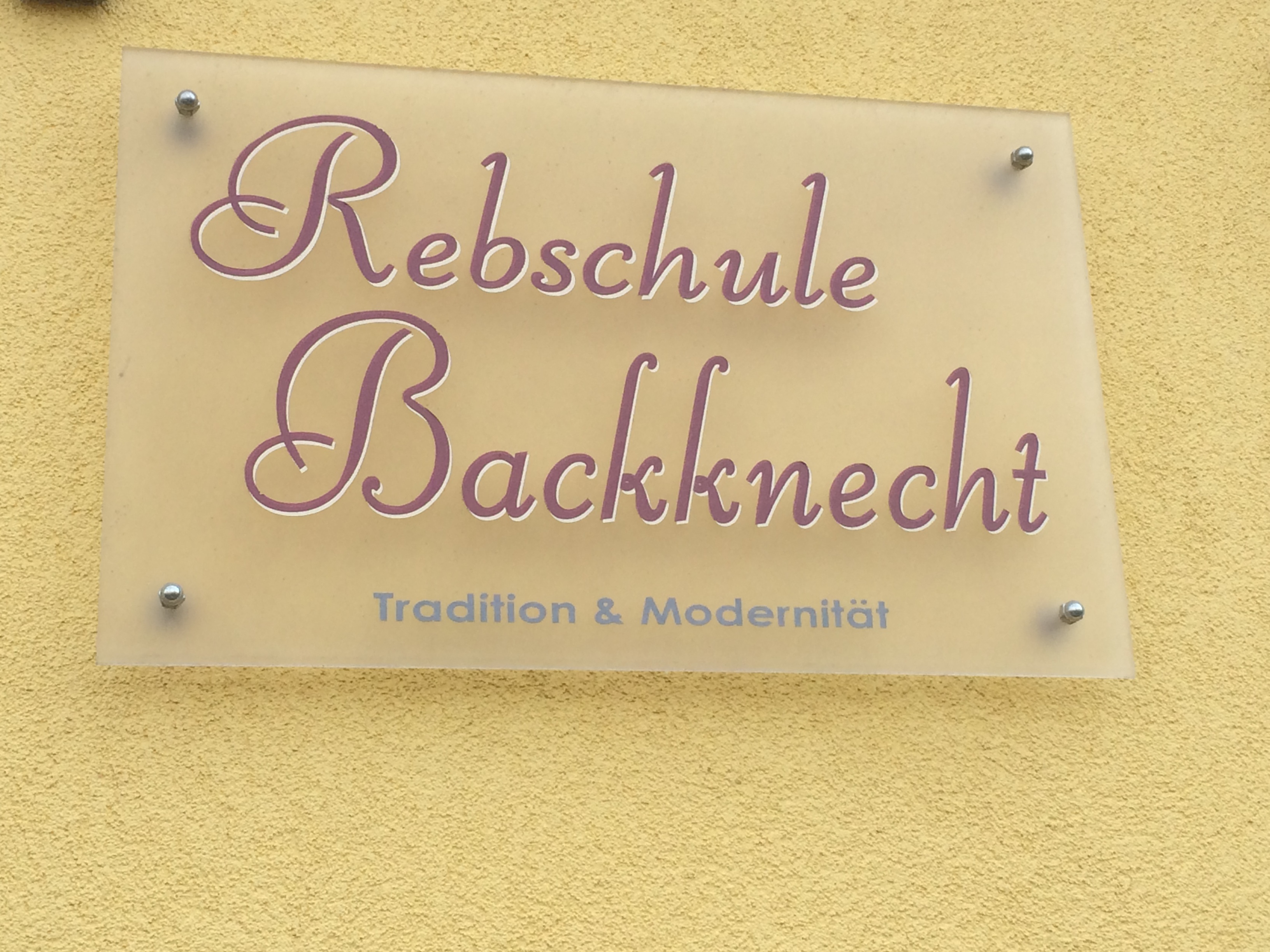 Rebschule 001