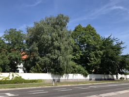 2019